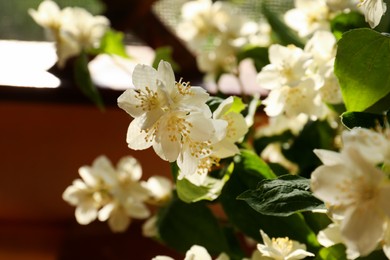 Photo of Bouquet of beautiful jasmine flowers on blurred background, closeup