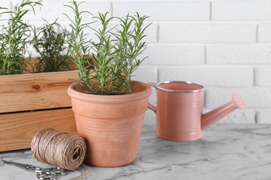 Photo of Beautiful green rosemary and watering can on white marble table near brick wall