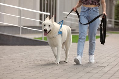 Young woman with her white Swiss Shepherd dog walking on city street, closeup
