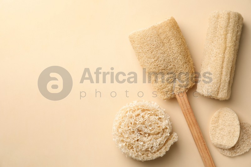 Photo of Natural shower loofah sponges on beige background, flat lay. Space for text