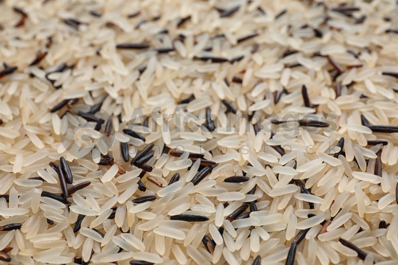 Mix of different brown and polished rice as background, closeup