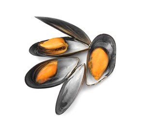 Delicious cooked mussels in shells on white background, top view