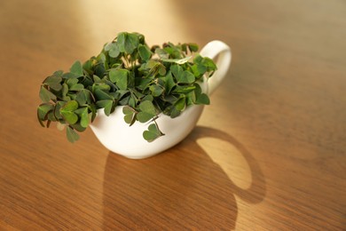 Beautiful green clover leaves in gravy boat on wooden table. Space for text