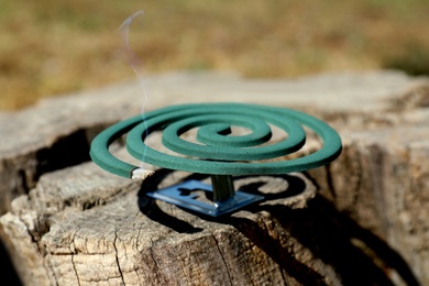 Smouldering insect repellent coil on tree stump outdoors