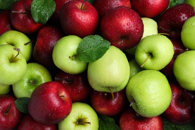 Fresh ripe green and red apples with water drops as background, top view
