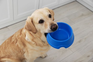Cute hungry Labrador Retriever carrying feeding bowl in his mouth indoors