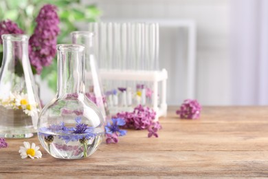 Flask with cornflowers on wooden table, space for text. Essential oil extraction