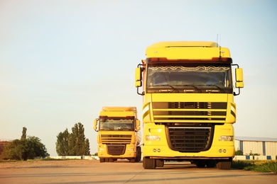 Modern yellow trucks on country road. Space for text