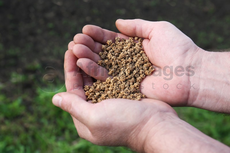 Man holding many beet seeds outdoors, closeup