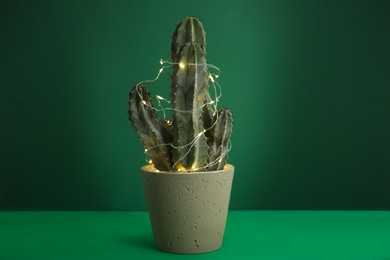 Cactus decorated with glowing fairy lights on green background