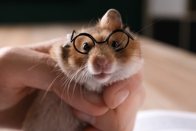 Owner holding cute little hamster with glasses, closeup