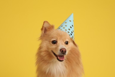 Photo of Cute dog with party hat on yellow background. Birthday celebration