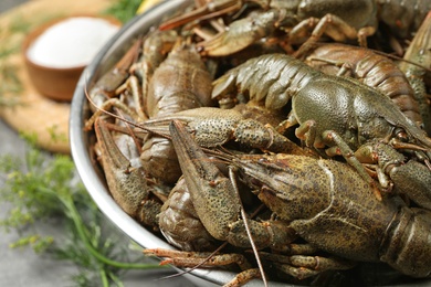 Fresh raw crayfishes in bowl, closeup. Healthy seafood