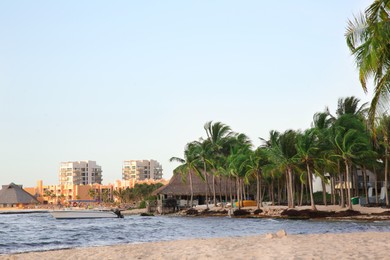 Photo of Picturesque view of sea coast, palm trees and resort on sunny day