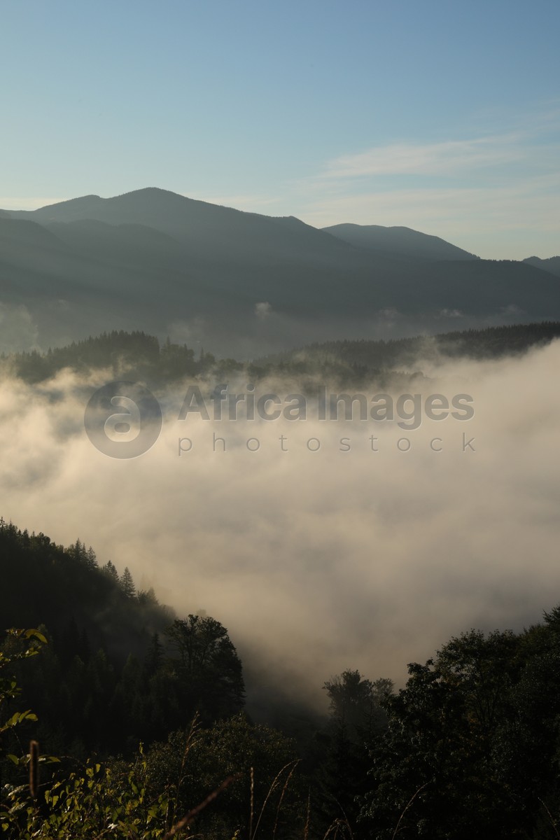 Photo of Beautiful view of mountains covered with fog at sunrise