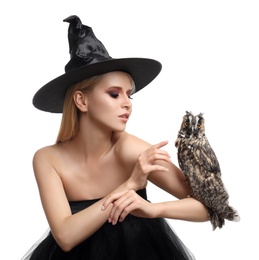 Witch in black hat with owl isolated on white. Scary fantasy character