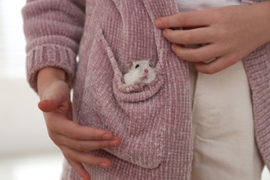 Photo of Little girl with cute hamster in pocket at home, closeup