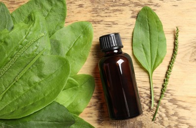 Bottle of broadleaf plantain extract and leaves on wooden table, flat lay