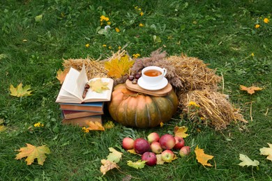 Books, pumpkin, apples and cup of tea on green grass outdoors. Autumn season