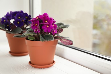 Beautiful potted violets on white wooden window sill, space for text. Delicate house plants