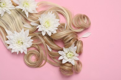 Lock of healthy blond hair with flowers on pink background, flat lay. Space for text