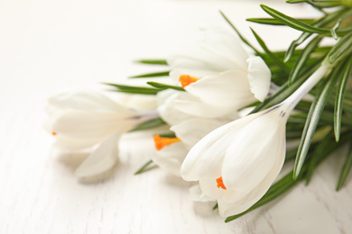 Photo of Beautiful crocus flowers on white wooden table, closeup. Springtime