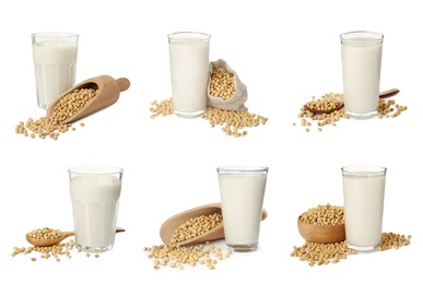 Set with natural soy milk and beans on white background