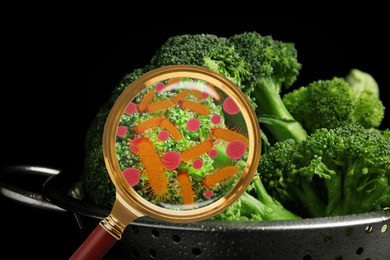 Magnifying glass and illustration of microbes on broccoli. Food poisoning concept  