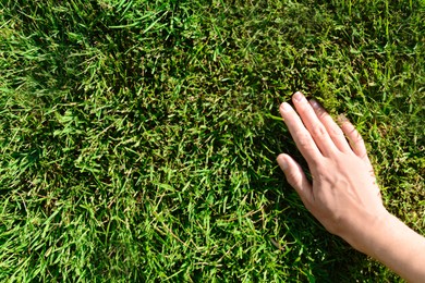 Photo of Woman touching fresh grass on green lawn, top view. Space for text