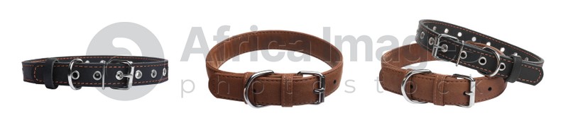 Set with different leather dog collars on white background. Banner design