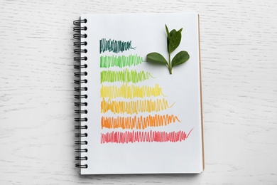 Notebook with colorful bars and leaves on white wooden background, flat lay. Energy efficiency rating chart