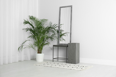 Photo of Modern interior with large mirror and beautiful plant near white wall