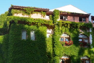 Exterior of beautiful residential building overgrown with green plants