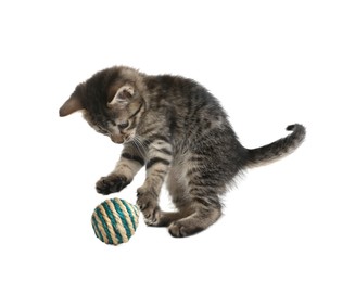 Little kitten playing with toy ball on white background