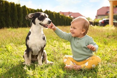 Photo of Adorable baby and furry little dog on green grass outdoors