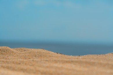 Closeup view of sandy beach near sea on sunny day