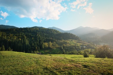 Photo of Beautiful view of green pasture in mountains on sunny day