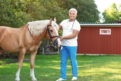 Photo of Senior veterinarian with palomino horse outdoors on sunny day