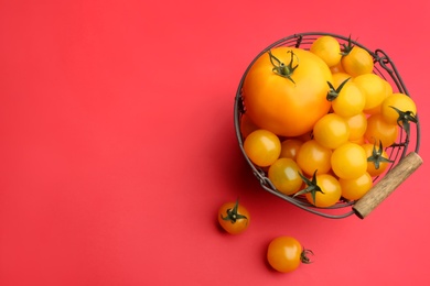 Yellow tomatoes in metal basket on red background, flat lay. Space for text