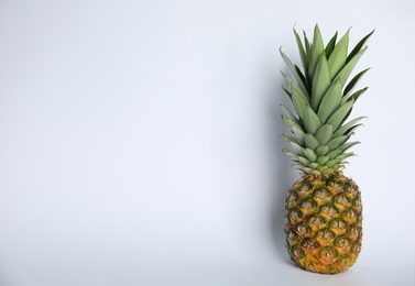 Photo of Fresh ripe juicy pineapple on white background. Space for text