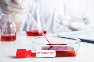 Scientist taking blood from Petri dish at table in laboratory, focus on test tube with blood sample and label CORONA VIRUS