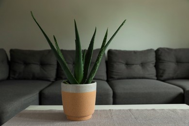Beautiful potted aloe vera plant on table in living room