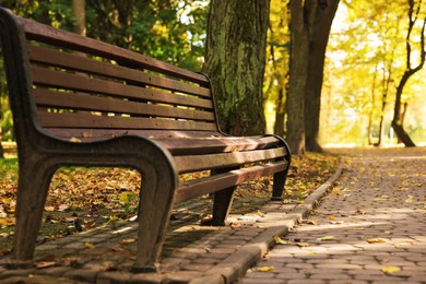 Wooden bench, pathway and fallen leaves in beautiful park on autumn day