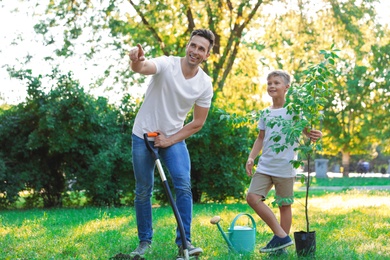Photo of Dad and son planting tree in park on sunny day
