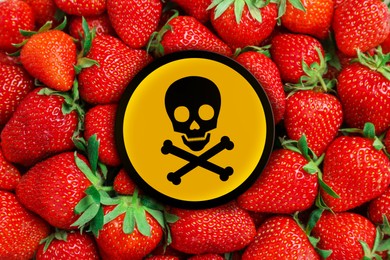 Skull and crossbones sign on ripe strawberries, closeup. Be careful - toxic