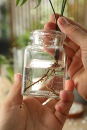 Photo of Woman holding jar with house plant on blurred background, closeup
