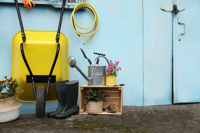 Photo of Beautiful plants, gardening tools and accessories near shed outdoors. Space for text