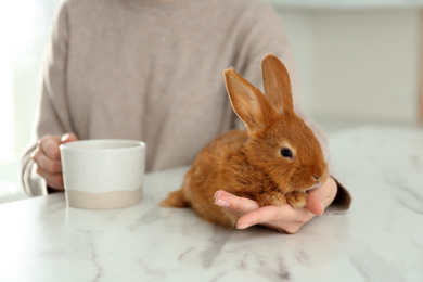 Young woman with cup of coffee and adorable rabbit at table indoors, closeup. Lovely pet
