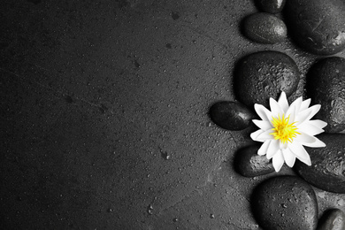 Photo of Stones, lotus flower and space for text on wet black background, flat lay. Zen lifestyle