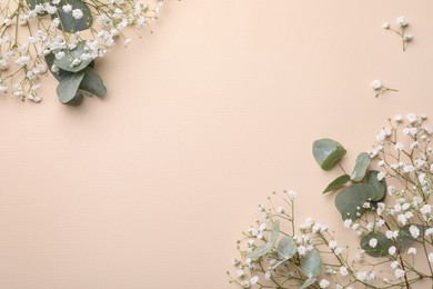 Photo of Beautiful floral composition with gypsophila and eucalyptus on beige background, flat lay. Space for text